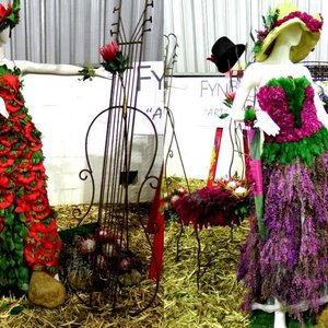 Gansbaai Cape Floral Kingdom Ekspo 1_1